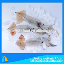 hot sale frozen clean baby squid with competitive price
